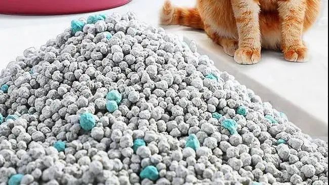 1715649782309389.jpg 3.jpg